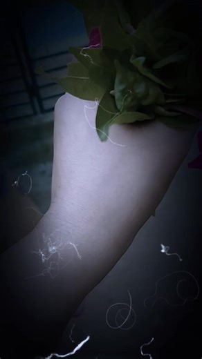 umme hani (@umme.hani4054)’s videos with original sound - bekar entertainment