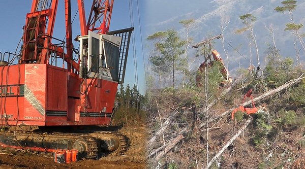 Reliable Forestry Gear for Challenging Conditions