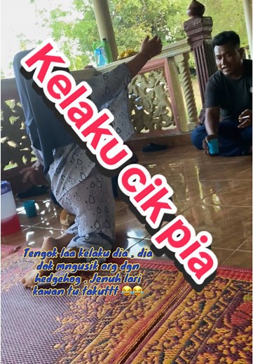 Hedgehog Comedy: Adorable Moments with a Pillow