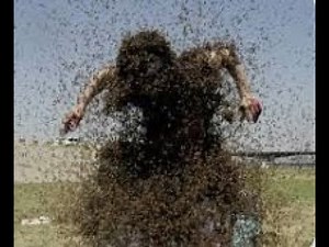 How to SURVIVE a swarm of Bees Attack? (Essential tips)