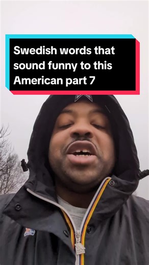 Swedish Words That Sound Funny to this American Part 7
