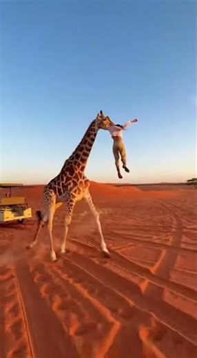 Giraffe Attack Caught on Camera Wild Safari Moments #wildlife #safari #nature