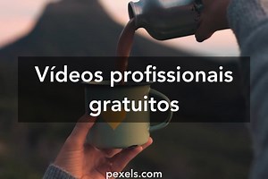 100.000+ melhores vídeos de Bom Dia · Download 100% grátis · Vídeos profissionais do Pexels