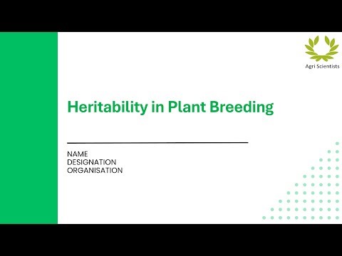 Heritability Part 1| Heritability| Heritability in Plant Breeding|
