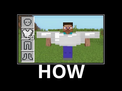 WAIT WHAT (Minecraft) #33