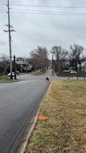 Zach Williams on Instagram: "There’s a statistic that claims 95% of people will never sprint again after turning 30. Personally, I think the number is inflated. But it definitely is an alarmingly high number regardless. Sprinting is the ultimate plyometric. The ROI for your athleticism, CNS, physique, and overall health are unmatched. You don’t need any equipment or gym space. Just go outside and hit the gas. Yesterday, I turned 30 and sprinted one of my favorite Nashville hills. Just an incline