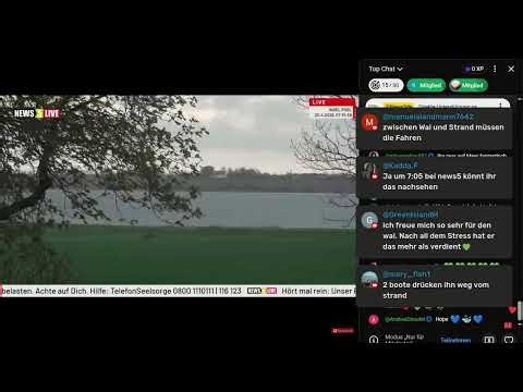 Wal Hope schwimmt Richtung Hafen. Wie geht es weiter?