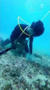 hanapbuhay bosero #seafoods #fishing #seamanstory #shells #beach