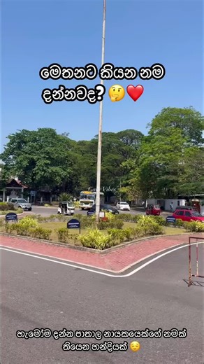 #srilankan_tik_tok🇱🇰 #fyp #follovers #following #srilanka