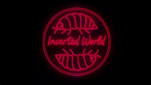 Inverted World are getting ready for Halloween with the creepy , cool inverts . Ready for a Happy Halloween 🎃 👻🐛🪲#inverts #fyp #halloween2025 #bugs #Halloween
