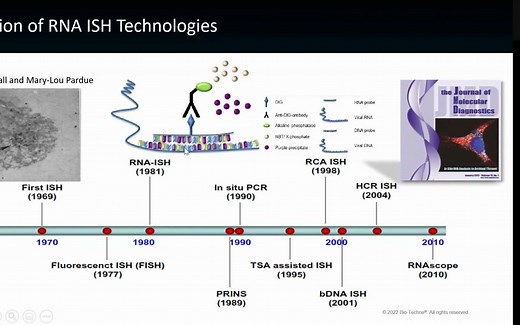 RNAscope技术原理及应用-20022-8-12