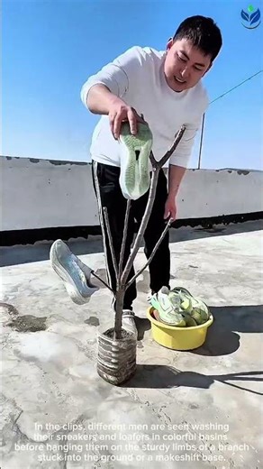 The MOST creative HACK to dry your shoes using a handmade tree