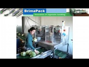 VePack PH Iceberg Lettuce packaging line
