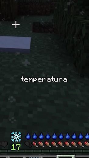 Estaciones del Año en Minecraft: Mod Serene Seasons Tough as Nails