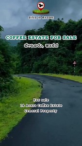 26K views · 317 reactions | Coffee Estate For Sale, Beluru 14 Acres, General Property Coffee, Pepper, jackfruit , Silverwood Full Boundary Fenced 10 km from beluru Price 38 Lakhs Per Acre Slightly Negotiable. Sites In Mysore ☎️9148450414 #banglore #hassan #belur #mysore #sakaleshpura #coffeeestateforsale #coffee #trendingreels #viral #InvestmentOpportunity #investment #coffeeestate | Sites In Mysore | Facebook