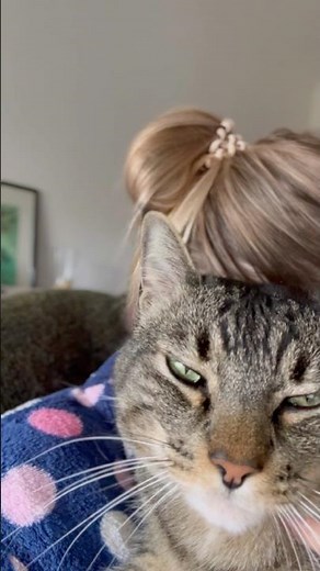 Kitty hugging and comforting her human 🐾#adorable