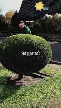 Tap the link in my bio to get full story