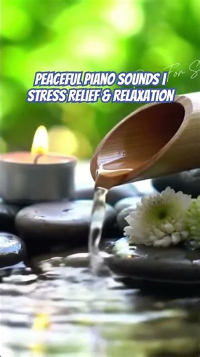 Peaceful Piano Sounds | Stress Relief & Relaxation #music #piano #relax #beautiful #relaxingmusic