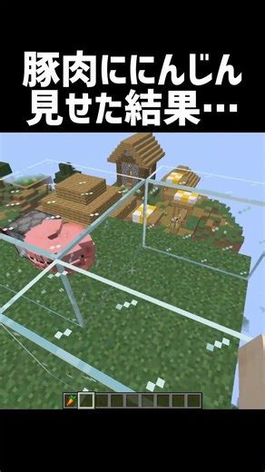 豚肉ににんじん見せた結果… #shorts #マイクラ #マインクラフト