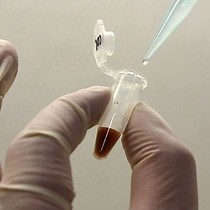 Video: A Seed Coat Bedding Assay to Genetically Explore In Vitro How the Endosperm Controls Seed Germination in Arabidopsis thaliana