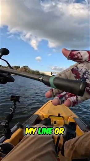 Trolling for Fish, But a Pelican Interrupted!