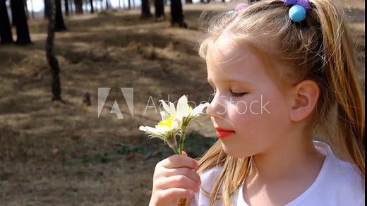Girl picking first spring flowers in a field. Happy child enjoying nature outdoors. Sunlit little girl smelling fresh flowers
