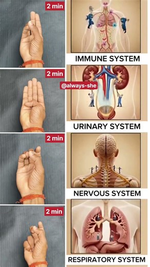 Daily Mudra #improve #system #urinary #nervios #shorts #mudra #yoga #shortvideo #viralvideo #yt
