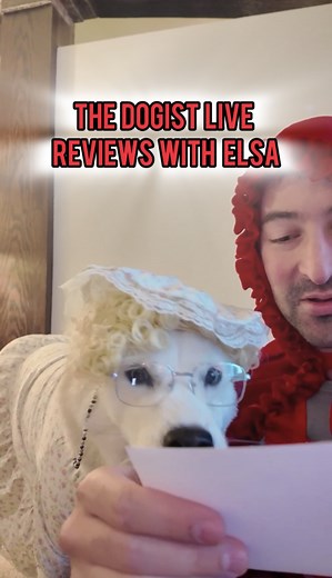 38K views · 2.7K reactions | Elsa (The Big Bad Wolf) and I (Little...