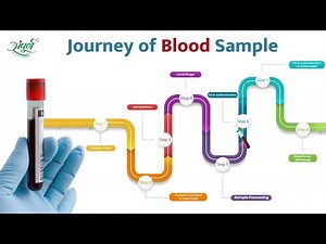 Blood Sample Process at Sampurna Sodani Diagnostic Clinic | Journey of a Blood Sample