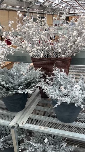 If you haven’t been to a spruce tip class at GVGH… why not?!? Look how much fun we are having!! #diy #createyourownstyle❤️❤️❤️ #sprucetips #minnesotamade | Green Valley Garden Center