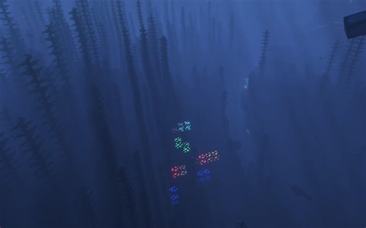 [Minecraft]不用高清修复！1.17美爆的光影！IRIS Shader