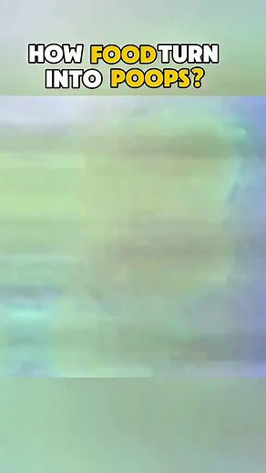 1.1K views | 103.How food turn into poop Disclaimer Digestion in 14 second Food journey inside you #howfoodturnintopoop#digestivesystem #medicalanimation #Everwonderd #sciencetiktok | Surgery Page | Facebook