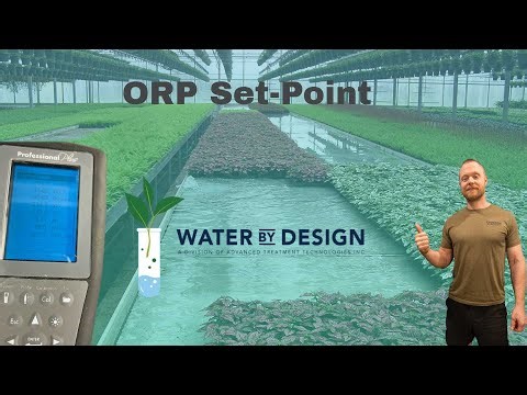Understanding ORP Set-Point