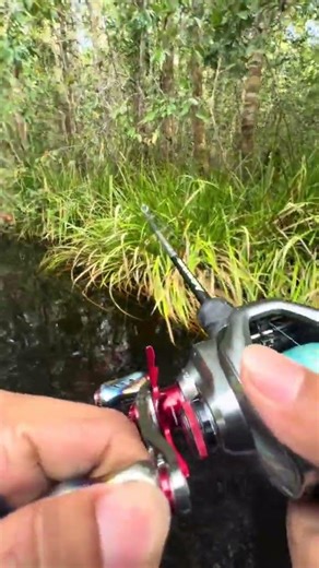 tutorial bikin kawan marah di ending 😂 #fishing #mancing