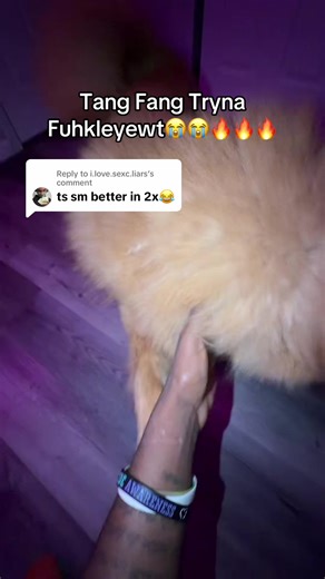 Replying to @i.love.sexc.liars 😂😂😂😂ong#iamkmo #fyp #viral