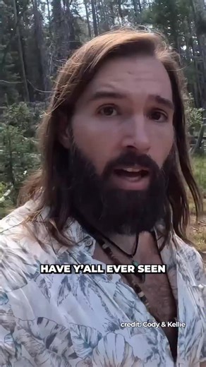 Dr Ben Miles on Instagram: "How This Fire Burns Underground⁣ ⁣ Root fires are slow-burning underground fires that can persist for months or years beneath the soil, fueled by organic materials like roots and peat. These fires can re-emerge at the surface, sometimes kilometers from their origin, reigniting wildfires even after apparent extinguishment.⁣ ⁣ Source Video: https://www.youtube.com/shorts/Z4A4wTAg8Zs ⁣ @CodyandKellie on YT⁣ ⁣ #discovery #environment #wildfires #science #explorepage #expl