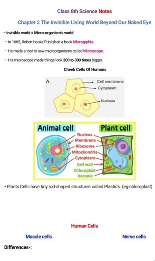 Class 8 Science 2. The Invisible Living World Beyond our naked eye NOTES🔥🔥