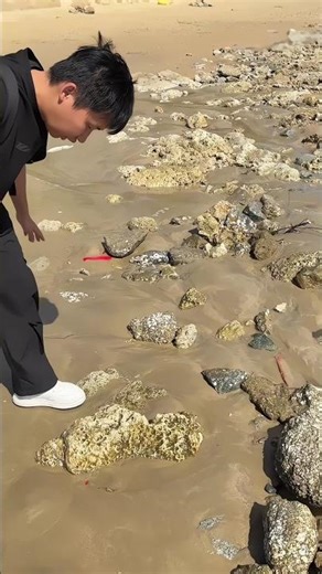 A Serious Treasure Hunt Turned Into The Funniest Beach Discovery Ever...