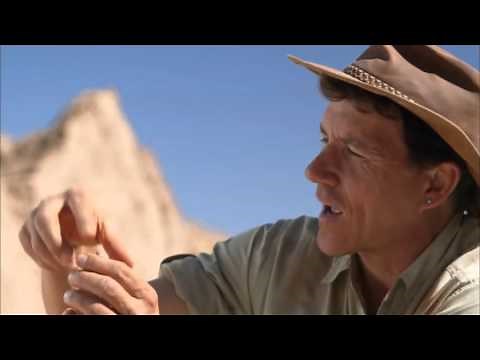 PBS Nova - Bigger Than T Rex 2014 - Science Documentaries
