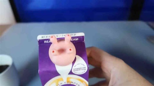 I tested 'useless' gadgets, here's what happened