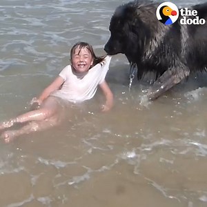 Dog 'Saves' His Little Girl From The Ocean