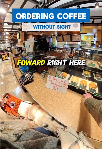 Ordering Starbucks Completely Blind ☕️🦮 • • #blind #coffee #guidedog #dog #fyp