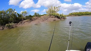 Check out the AMOUR PRAWN in action! Whether you are chasing Barra, Jacks and Threadies down deep in the holes and snags or Flathead and Trevally on the flats – This ultra-realistic prawn lure is a staple for any angler! Have you tried one yet? 🦐 Two Sizes Available: 110mm (25g) and 85mm (13g) 🦐 Hard, tight vibrating action or a gliding and twitching action 🦐 Rear Hook Holder 🦐 8 Great colours designed to attract any species 📷 Bowly’s Fishing | Chasebaits Australia