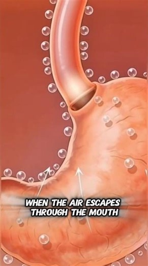 Why do we burp after eating ? simple body explanation #ytshorts #shorts #body