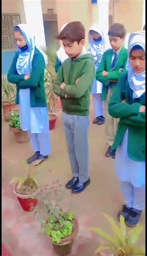 Recitation Highlights from Dar e Arqam School Events