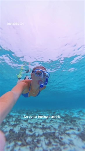 The Maldives has the clearest & bluest water I have ever seen I never want to leave 🤿🫧 #maldives #maldivestiktok #snorkeling #ocean #swimming
