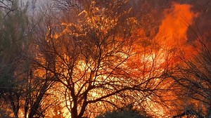 A wildfire is burning in the Hot Springs area of Eden north of Pima. Multiple agencies are on scene. | The Gila Herald