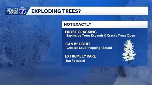 Can trees actually explode during extreme cold? KETV explains the science behind it