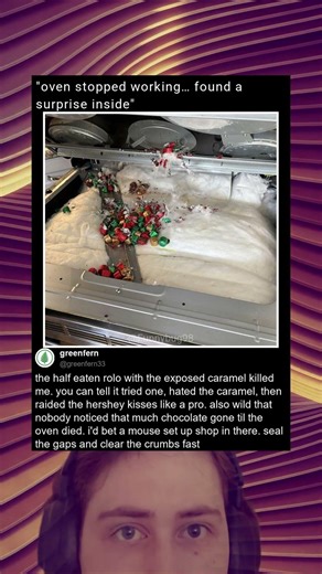 Oven Mystery Solved Hidden Chocolate Stash Explosion