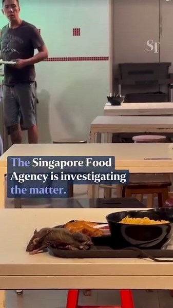 A video which shows a rat twitching on a tray in a foodcourt at Tangs Market is being investigated by the Singapore Food Agency. An eyewitness reportedly said that the rat had fallen from the ceiling. https://str.sg/ixte | The Straits Times
